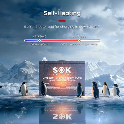 SOK SK12V100H 12V 100Ah LiFePO4 Batterie | Bluetooth & Heizung