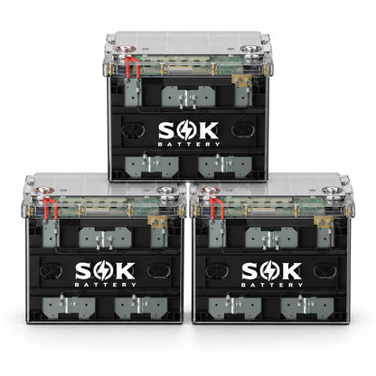 12V 100Ah LiFePO4 Marine RV Battery (Clear Case) Smart BT & Heated