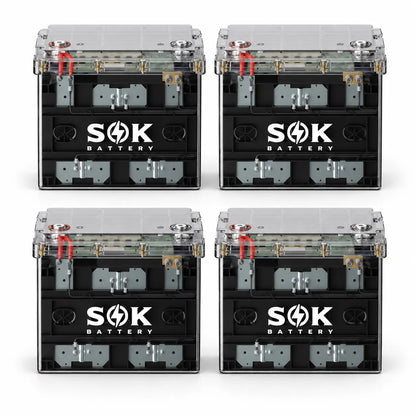 12V 100Ah LiFePO4 Marine RV Battery (Clear Case) Smart BT & Heated