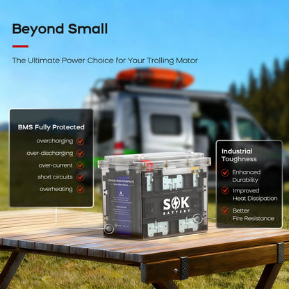 SOK 12V 100Ah clear-case LiFePO4 battery design detail